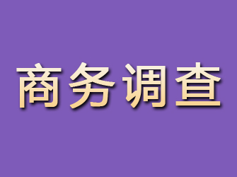 清河门商务调查